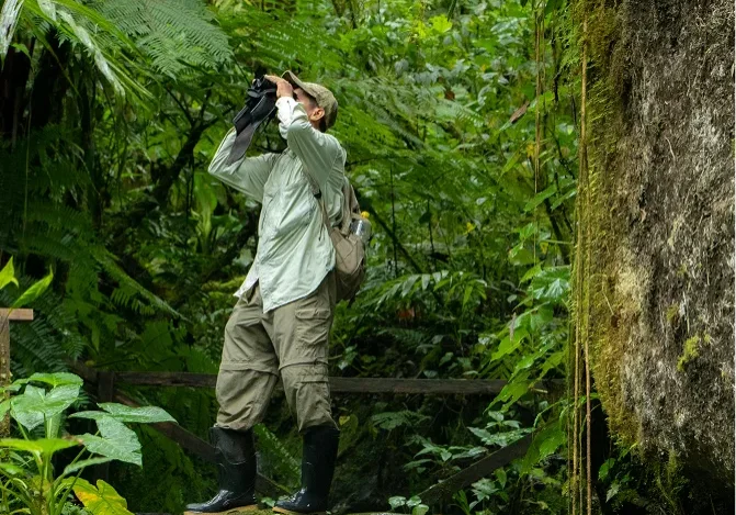 Jumelles pour l’observation des insectes et des papillons