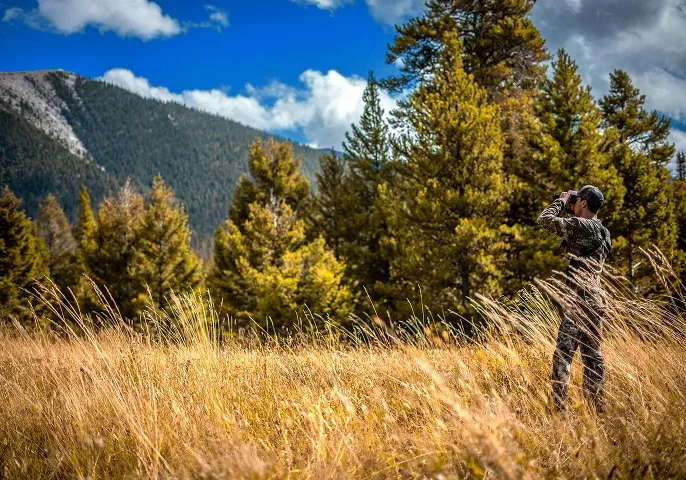 Jumelles pour la chasse