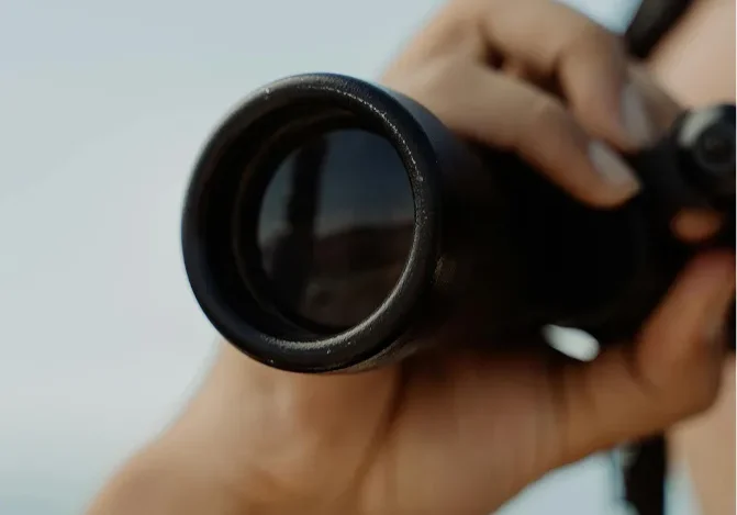 Définition Jumelles